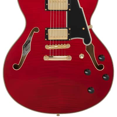 D'Angelico Excel DC Trans Cherry w/Gigbag image 1