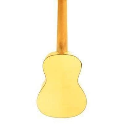 Amahi UK550C-EQ Concert Size Flame Maple Electric Acoustic Ukulele with Gig Bag image 9