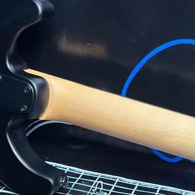 PRS SE Swamp Ash CE 24 Sandblasted 2024 - Sandblasted Blue image 13