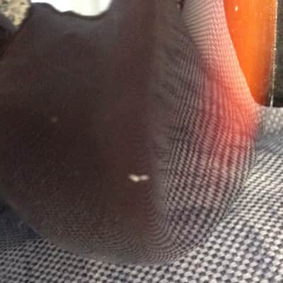 Lakland 55-94 Prototype Lightwave Fretless(one of a kind) image 16