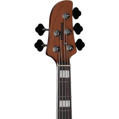 Ibanez TMB405 Talman Electric Bass, Cosmic Blue Starburst image 6