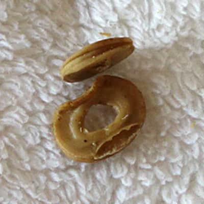 RARE Vintage 1960s Gibson Decomposing Rubber Spacer/Washers for Melody Maker PUP Height Adjustment!! image 5