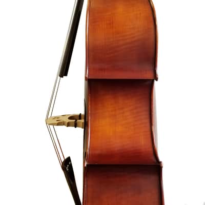 Christopher Master  Double Bass, 3/4, Super craftsmanship, Rich tone image 4