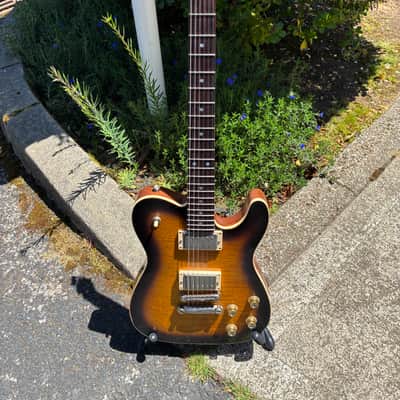 Whitfill Cousin Paul 2025 - Sunburst image 4