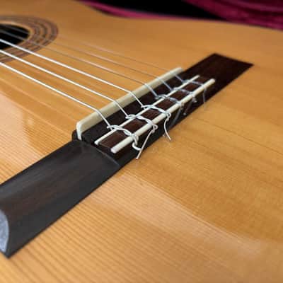 Asturias Wataru Tsuji N-2 Spruce/Indian Rosewood 1996 Japan image 10