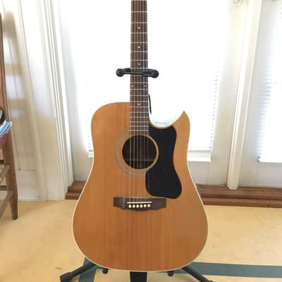 1981 Guild D40 with Florentine Cutaway image 1