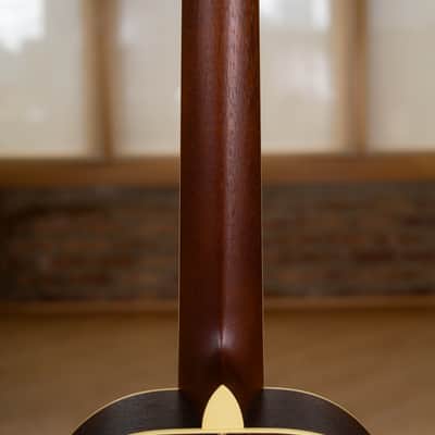 Lyon & Healy Lakeside Parlor - Indian Rosewood #001 image 10
