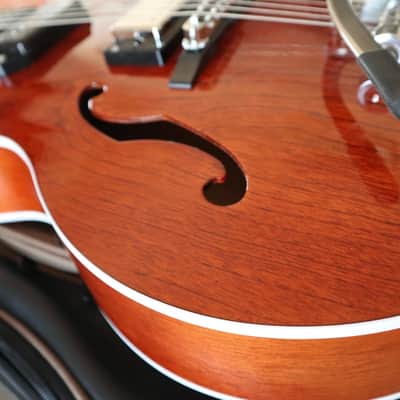 Godin 5th Avenue Uptown Custom - Havana Burst kg 2,75 image 4