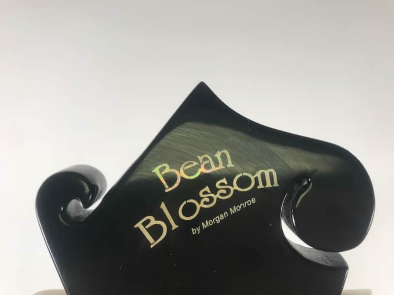 Bean Blossom Morgan Monroe Mandolin | Reverb