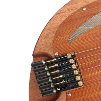 Special Steel String Electric Oud RaksOud Mat image 5