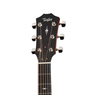 Taylor 312ce Cutaway Sapele Grand Concert Acoustic-Electric Guitar image 5