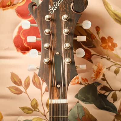 2004 Gibson Master Model F-9 Mandolin Sunburst image 7