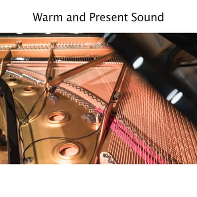 REMIC Microphones TRIPLE Kit Piano Microphone for Grand Piano image 5