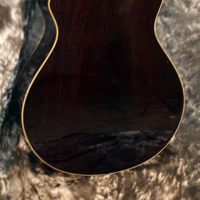 BREEDLOVE PRO SERIES C25/CRH, ACOUSTIC ELECTRIC image 2