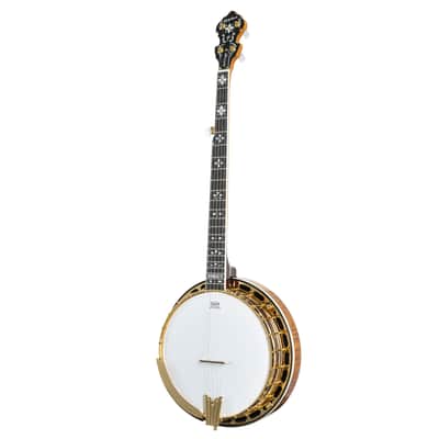 Epiphone Earl Scruggs Golden Deluxe Banjo - Banjo image 8