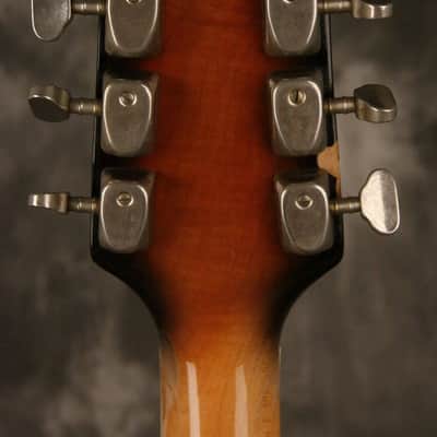 Immagine Ampeg/Burns TR2 solid carved top/back 1963-64 Sunburst - 8