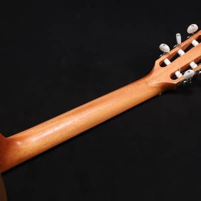 Taylor Academy 12e-N Grand Concert Acoustic-Electric Guitar Natural 069 image 7