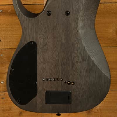Ibanez RG9PB Axion Label 9-String - Macassar Ebony - Transparent Grey Flat image 2