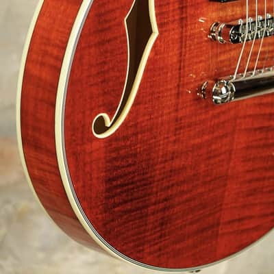 EASTMAN T484 CL - Classic image 12