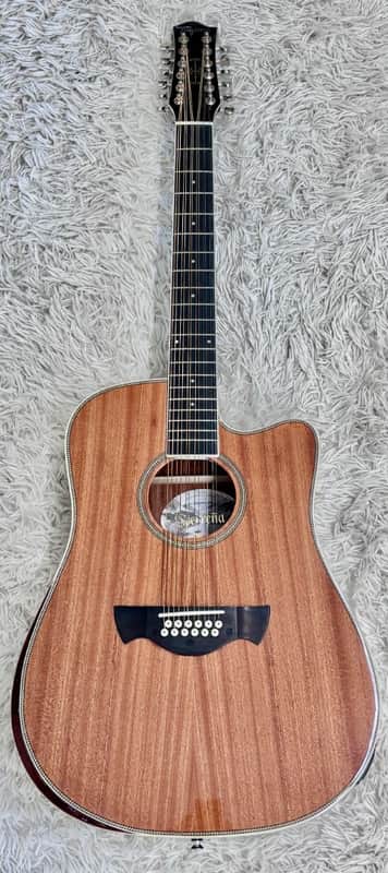 TAGIMA SIERRENA XII EQ NT ACOU-ELEC 12 STRING GUITAR NATURAL GLOSS - B Stock image 1