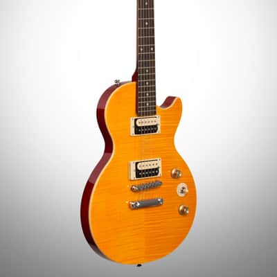 Epiphone Slash Appetite for Destruction Les Paul Electric Guitar (with Gig Bag) image 4