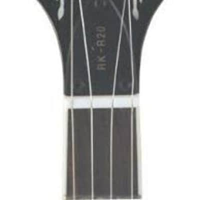 Recording King Songster Resonator Banjo (RK-R20) image 2