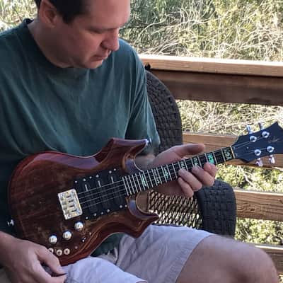 Waldschmidt Guitars - Electric Mandolin - Jerry Garcia, Tiger Guitar style image 22
