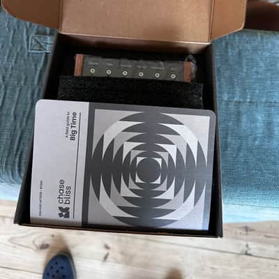 Chase Bliss Audio Big Time Delay 2026 image 5