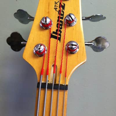 Ibanez ATK 305 5-string bass w/ hardshell case image 4