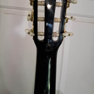 Esteban Limited Edition Spanish Rosas A/E Classical Guitar image 15