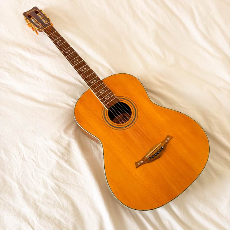 Hohner HF75 Acoustic Guitar (2005) – Excellent Condition with original picks! image 1