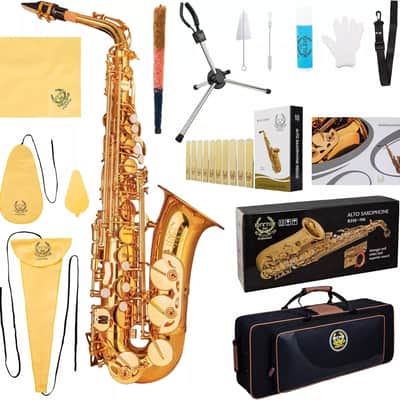 Prelude  conn-selmer　セルマー　AS-710 アルトサック Prelude by Conn Selmer AS710 Alto Saxophone - Lacquer – Wooi Music