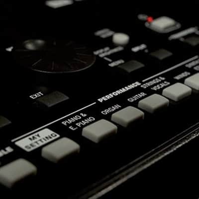 Korg PA 300 image 5