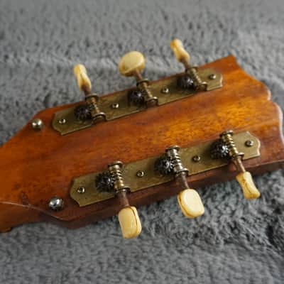 Lero Semi Hollow Body Electric Guitar image 17