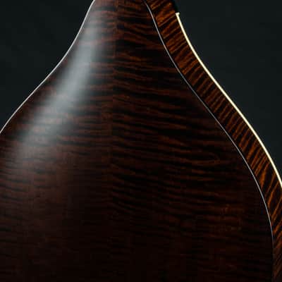 Collings MT Mandola Cream Gloss Top Adirondack Spruce and Flamed Maple NEW image 16