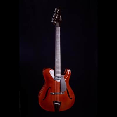 Tim Bram Guitars Tribute image 3