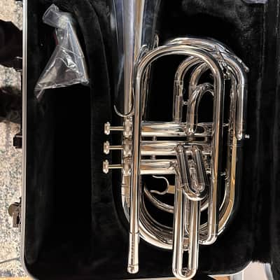 Eastman EMB411 2022 - Silver Plated image 3