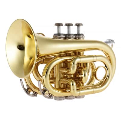 Compact Bb Flat Pocket Trumpet – Brass Wind Instrument for Students & Beginners image 2