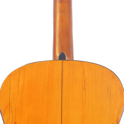 Francisco Pau ~1890 early Spanish guitar in Torres Style - outstanding construction + sound -check video image 7