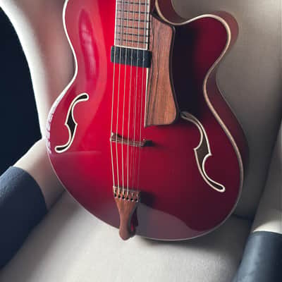 Tad Brown Archtop 16" Acoustic Calton Case image 14
