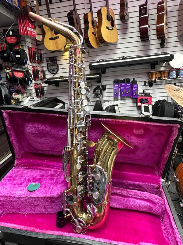 Kingston Alto Saxophone image 1