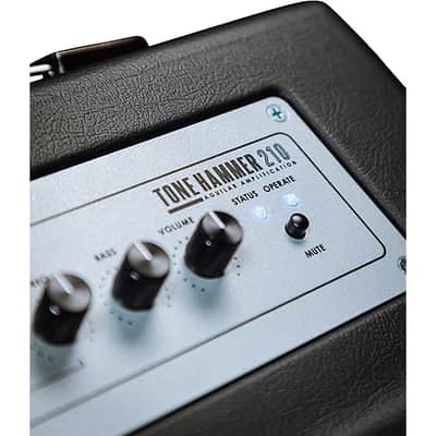 Aguilar TH210COMBO Tone Hammer 210 Bass Combo Amplifier image 10