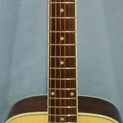 Ibanez Daytripper Travel Guitar (DT10NT) w/ bag and strap image 4