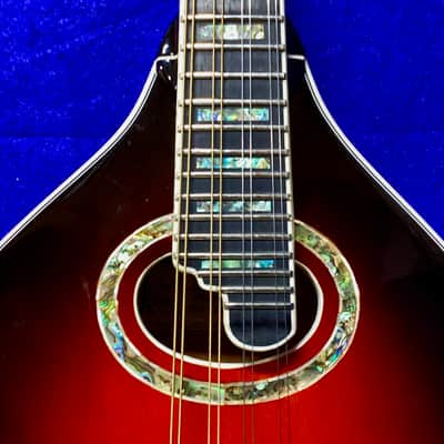 Michael Kelly MK-AO Oval-Hole A-Style Mandolin — Recent Luthier Setup image 1