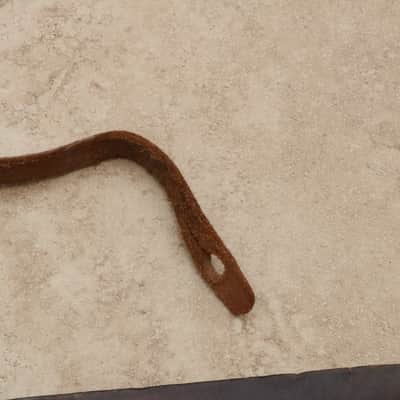 Ancient Leather Guitar Strap Circa 1950's or older image 5
