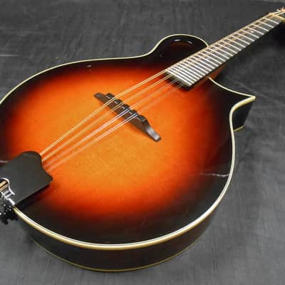 Tacoma M-2 Mandolin Sunburst W/ Hardshell Case Made In USA image 3