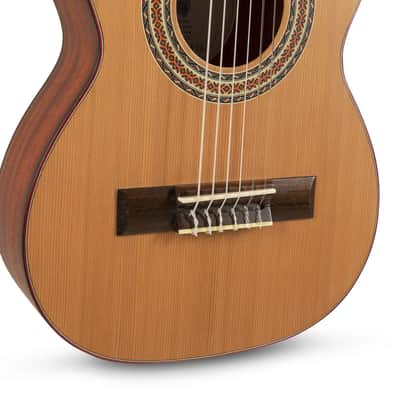 Manuel Rodriguez T-44 TRADICÍON Series 1/4 Size Solid Cedar Top Mahogany Neck Nylon 6-String Classical Acoustic Guitar image 6