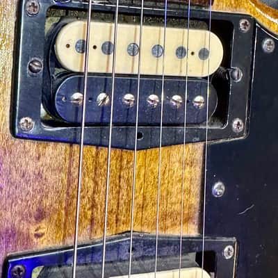 1974 Gibson L6S, Refinished image 4