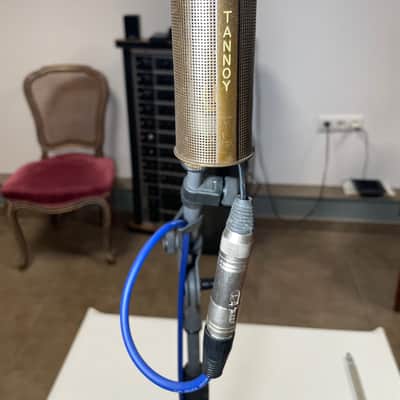 Vintage Tannoy Parliament Ribbon microphone 1960s - Brass, extremely rare image 6
