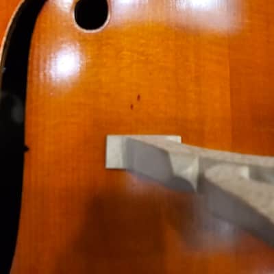 D Z Strad Cello- Model 250- Cello Outfit w/ Case & Bow (4/4 Size) image 3